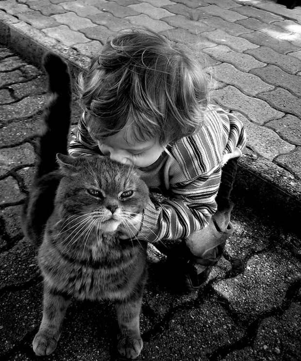 трогательные фотографии детей и котов (12)