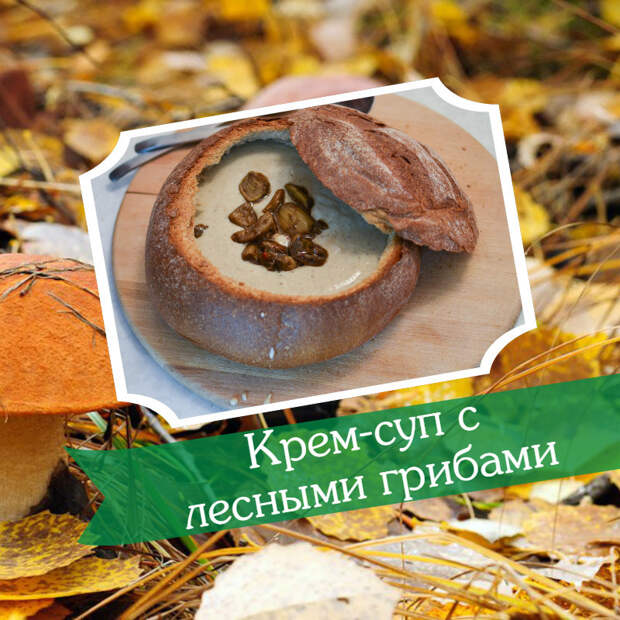 5 вкуснейших блюд из лесных грибов, от которых у вас потекут слюнки вкуснотища, лесные грибы, пошаговые фото, рецепты
