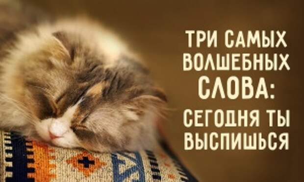 К чему приводит недостаток сна и как наконец выспаться