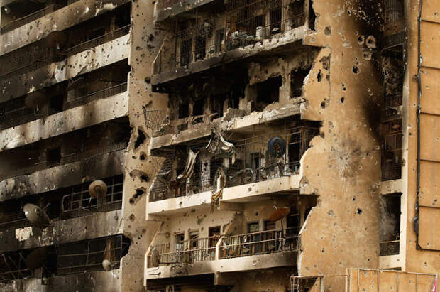 Мир без людей