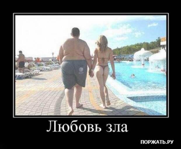 Прикольные демотиваторы, в подборке много новых.