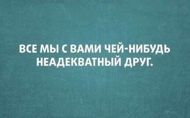 Лучшие цитаты интернета. Класс!