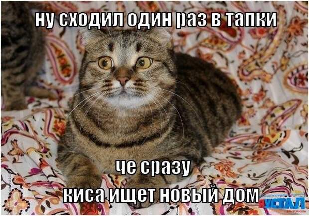 Забавные фотомемы