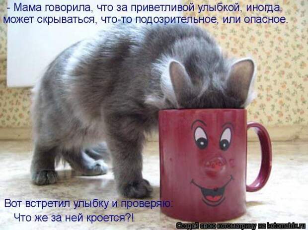 Мысли вслух :)