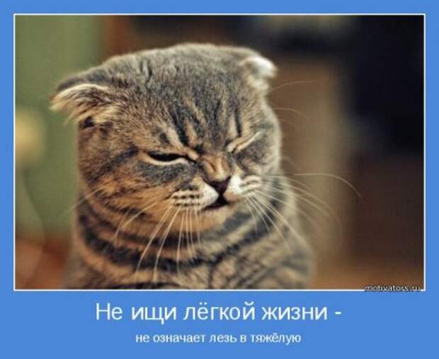 Мотиваторы. Учим судьбу хорошему.