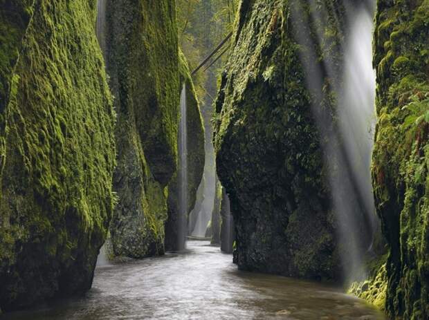 National Geographic: лучшие фотографии июня geographic, national, фотографии