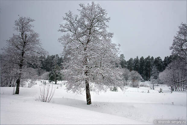 Зимняя природа. Фотографии для души