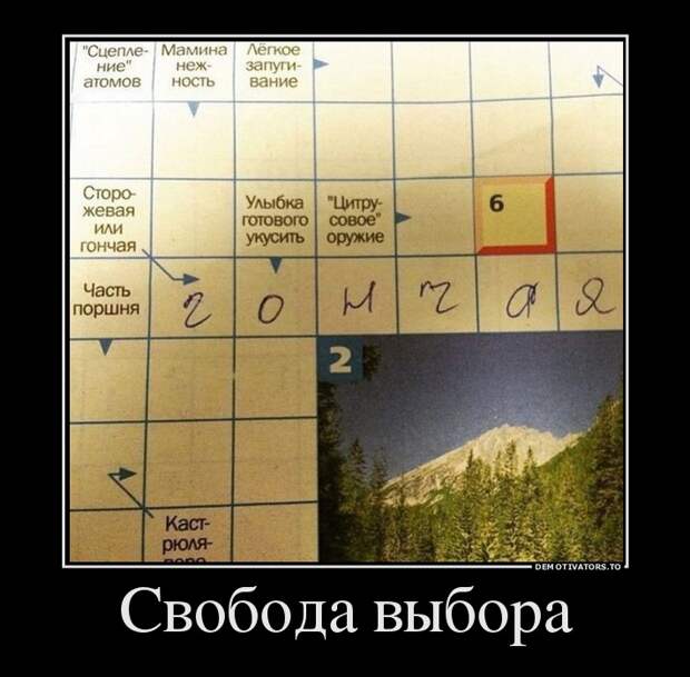 Пятничная подборка демотиваторов демотиватор, юмор