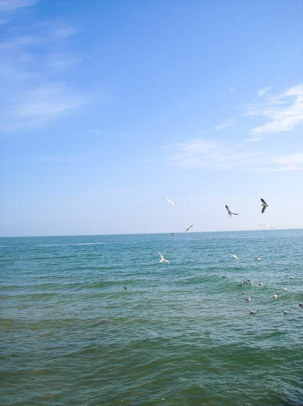 Odessa photos