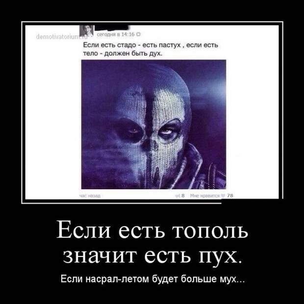 Подборка  демотиваторов демотиваторы, юмор