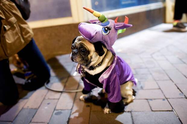 9 апреля: какой праздник отмечают в России и мире