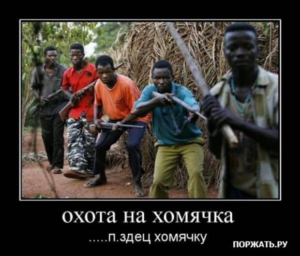 Демотивируемся только прикольными фото сюжетами и надписями.
