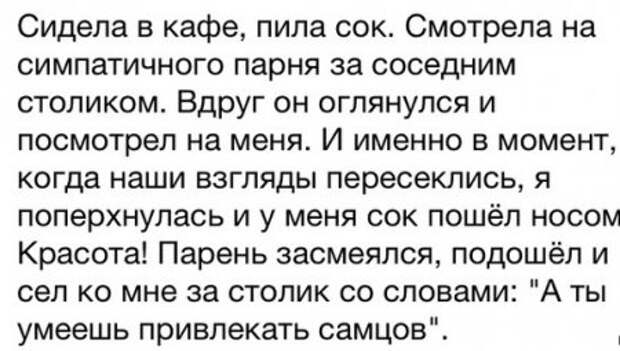 Фото приколы которые веселят.
