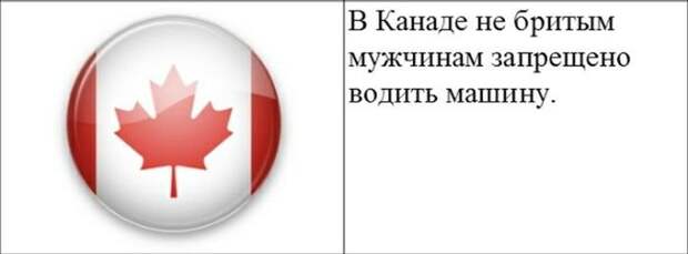 Закон всегда прав - даже если это маразм Закон всегда прав - даже если это маразм