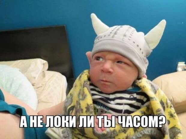Смешные картинки с подписями катинки, прикол, юмор