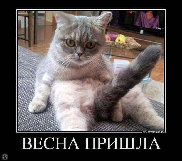 Сними напряжение! 2