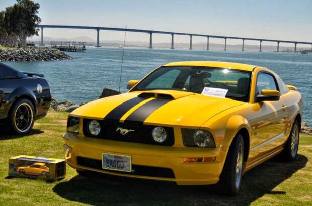 авто, ford, mustang