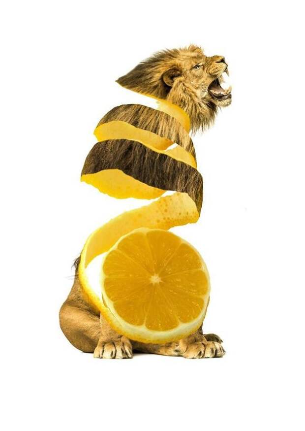 лимон и лев