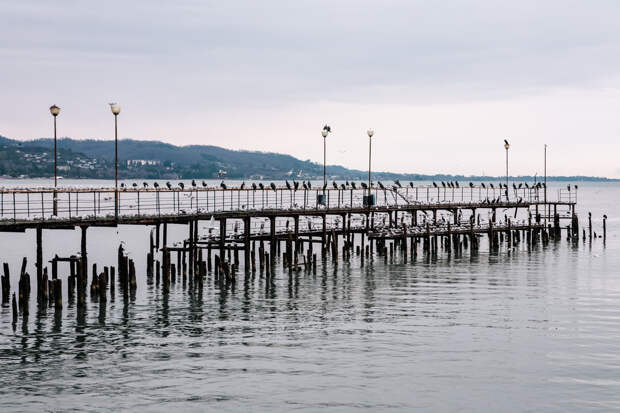 Турция готова обеспечить безопасность Чёрного моря после мира на Украине