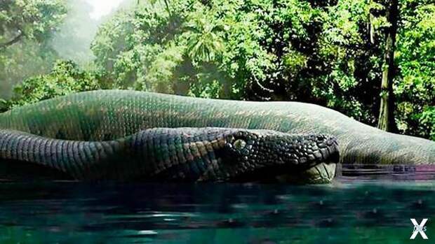 Titanoboa cerrejonensis