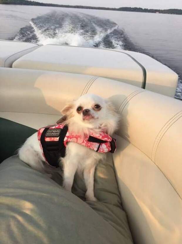 ПОДБОРКА ФОТОПРИКОЛОВ