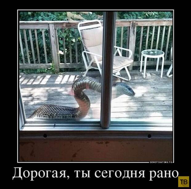 Подборка демотиваторов 15.07.2014 г (32 фото)
