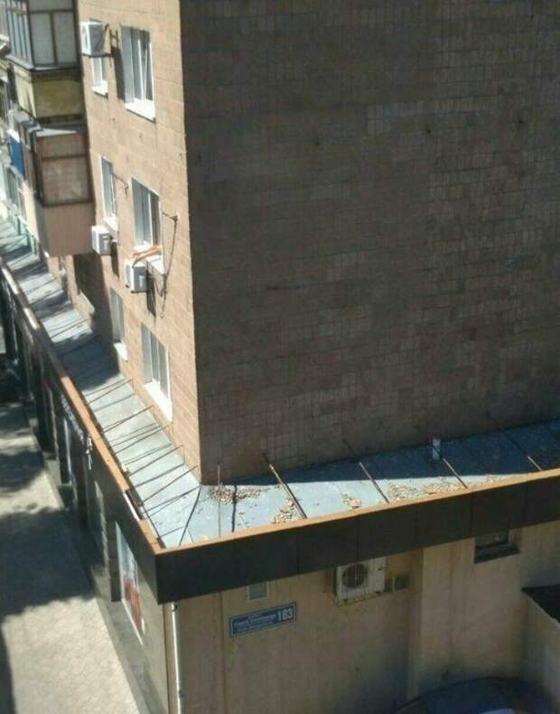 Пятой точкой во дворе, а мечтами в Сочи