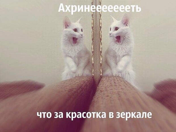 image (604x452, 154Kb)