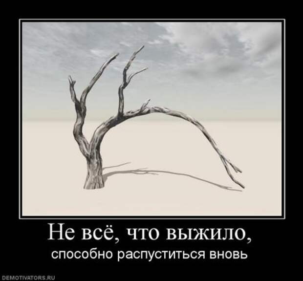 Смешные и только новые демотиваторы!