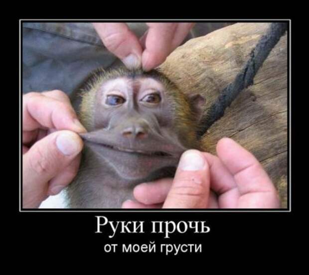 Подборка демотиваторов.