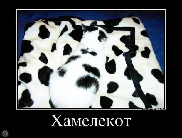 Меняй себя сам! 2