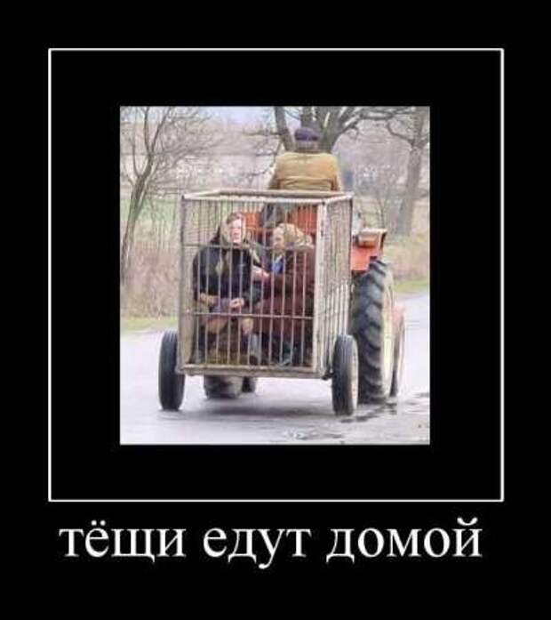 Демотиваторы приколя дня.