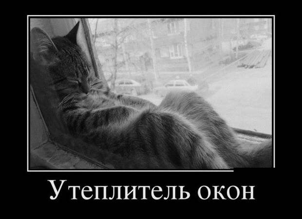 Демотиваторы (30 фото)