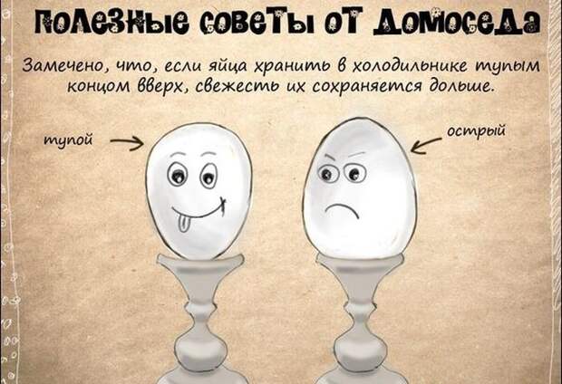 Полезные советы полезно знать, советы