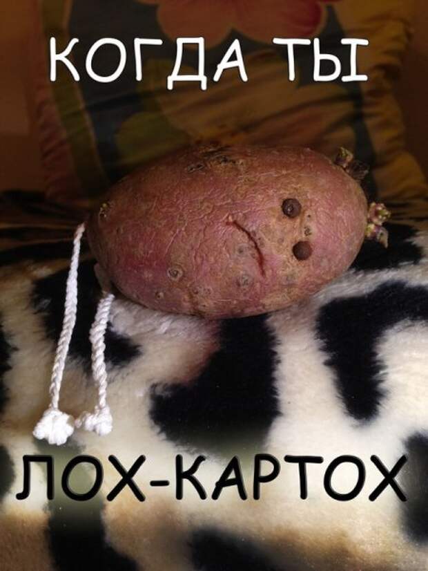Хорошему человеку только прикольные фото.