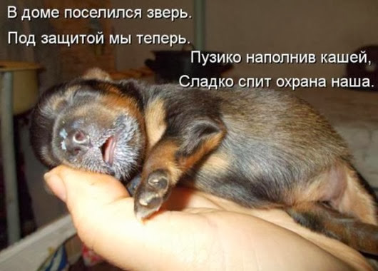c5f978e75bfe1c2b923d381d33a_prev