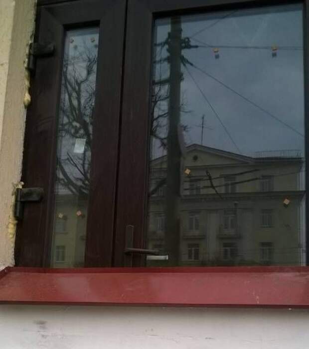 Прикольные картинки. Вечерний выпуск (54 фото)