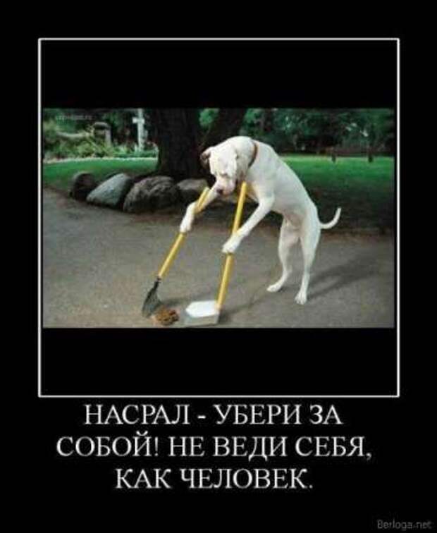 Что такое демотиватор? Ответы на сайте!