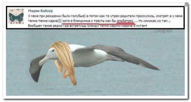 Комментарии, мимо которых не пройти 1