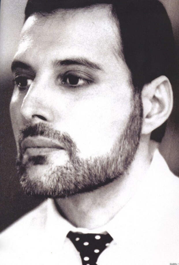 Памяти Фредди Меркьюри