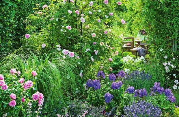Пряные травы, цветочные многолетники и розы своими восхитительными ароматами покорили сердца многих садоводов. .