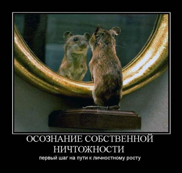 Демотиваторы (30 фото)