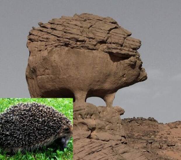 Скальные образования, напоминающие животных (10 фото)