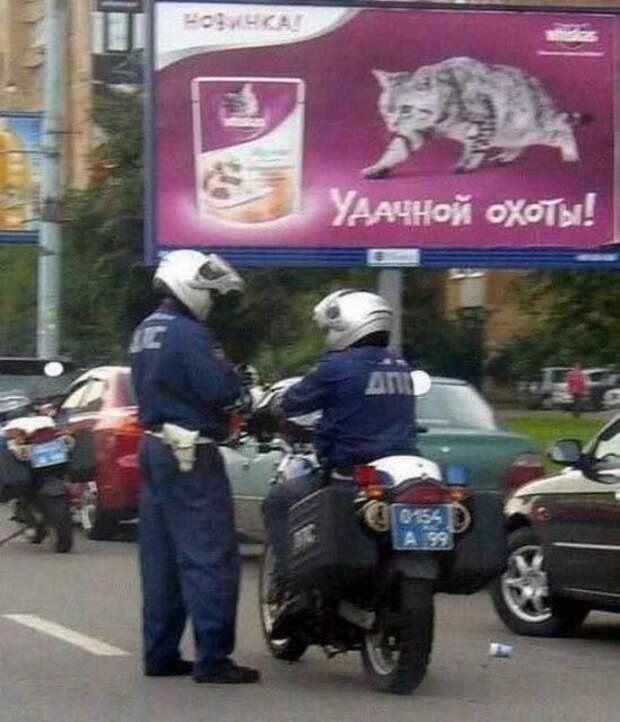 Супершедевры, которые сняты в нужный момент. Жмите лайк!