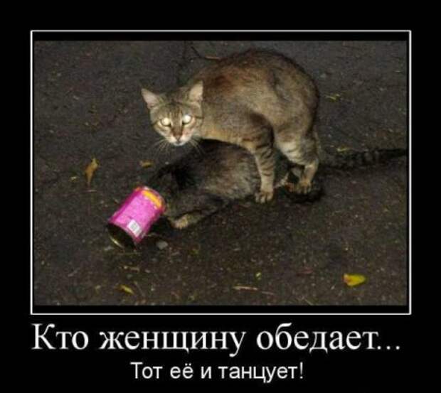 Демотиваторы смешные, юмор в тексте и фото.