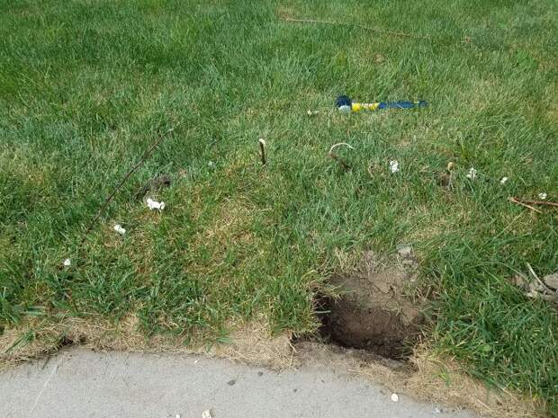 Место для огня во дворе своими руками (31 фото)