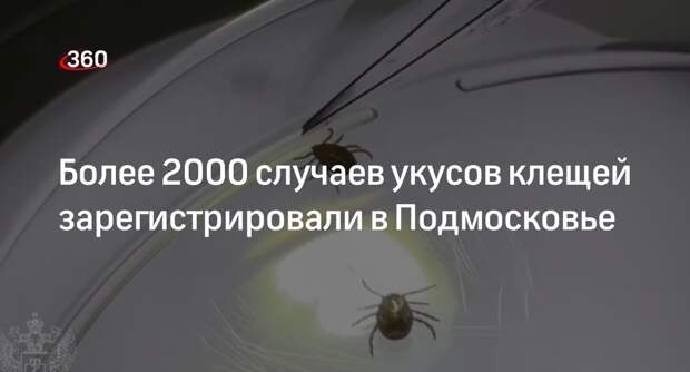 Более 2000 случаев укусов клещей зарегистрировали в Подмосковье