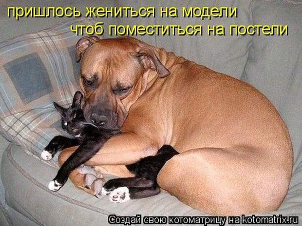 Мысли вслух :)