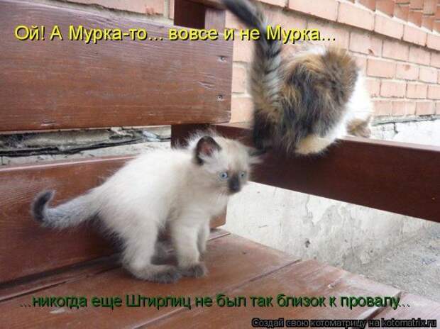 Мысли вслух :)