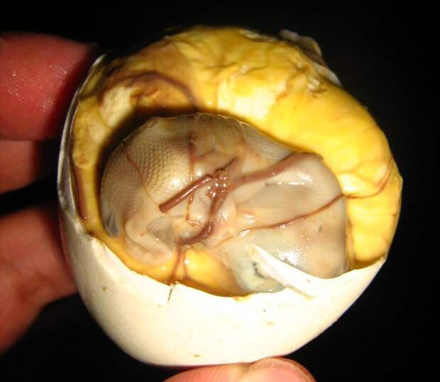 Балют BALUT